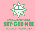 �ҡ���󥰥��ȡ��󡢥ե����å��󥹡������ޥ����롦���������Υ�饯��������󻨲ߡ��ҡ���󥰥롼�� SEY-GEE-HEE �������������ҡ� �ޥ����롦�ҡ���󥰡�����å�